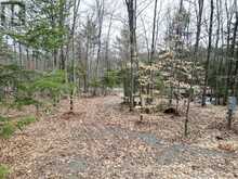 1231 BIG HAWK LAKE ROAD | Algonquin Highlands Ontario | Slide Image Nine