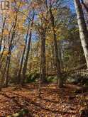 1231 BIG HAWK LAKE ROAD | Algonquin Highlands Ontario | Slide Image Fifteen