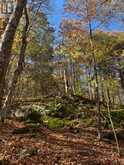 1231 BIG HAWK LAKE ROAD | Algonquin Highlands Ontario | Slide Image Sixteen