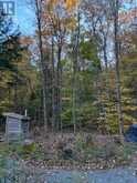 1231 BIG HAWK LAKE ROAD | Algonquin Highlands Ontario | Slide Image Nineteen