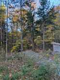 1231 BIG HAWK LAKE ROAD | Algonquin Highlands Ontario | Slide Image Twenty