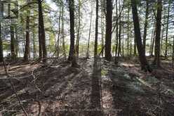 LOT 1 WEST BEAR LAKE ROAD | McMurrich/Monteith Ontario | Slide Image Twelve