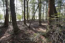 LOT 1 WEST BEAR LAKE ROAD | McMurrich/Monteith Ontario | Slide Image Sixteen