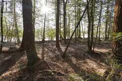 LOT 1 WEST BEAR LAKE ROAD | McMurrich/Monteith Ontario | Slide Image Seventeen