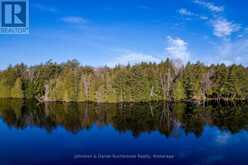 LOT 1 WEST BEAR LAKE ROAD | McMurrich/Monteith Ontario | Slide Image One