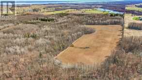 403419 CONCESSION 20 ROAD | Georgian Bluffs Ontario | Slide Image Forty-three