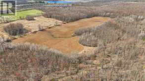 403419 CONCESSION 20 ROAD | Georgian Bluffs Ontario | Slide Image Forty-seven