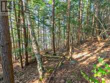 LOT#2 - 1250 WALDMERE ROAD | Bracebridge Ontario | Slide Image Ten