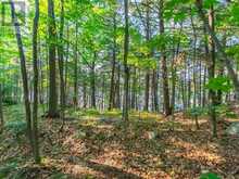 LOT#2 - 1250 WALDMERE ROAD | Bracebridge Ontario | Slide Image Eleven