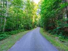 LOT#2 - 1250 WALDMERE ROAD | Bracebridge Ontario | Slide Image Seven
