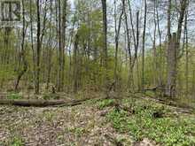 LOT 165 GLEN LAKE COURT | Dysart et al Ontario | Slide Image Fifteen