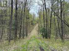 LOT 165 GLEN LAKE COURT | Dysart et al Ontario | Slide Image Six