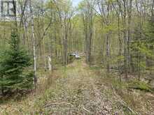 LOT 165 GLEN LAKE COURT | Dysart et al Ontario | Slide Image Eight