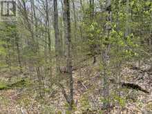 LOT 165 GLEN LAKE COURT | Dysart et al Ontario | Slide Image Nine