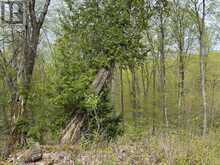 LOT 166 GLEN LAKE COURT | Dysart et al Ontario | Slide Image Ten