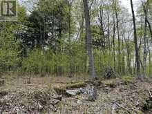 LOT 166 GLEN LAKE COURT | Dysart et al Ontario | Slide Image Eleven