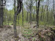 LOT 166 GLEN LAKE COURT | Dysart et al Ontario | Slide Image Twelve