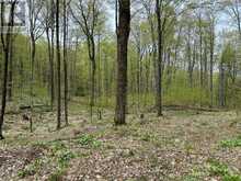 LOT 166 GLEN LAKE COURT | Dysart et al Ontario | Slide Image Sixteen