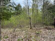 LOT 166 GLEN LAKE COURT | Dysart et al Ontario | Slide Image Seventeen