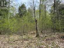 LOT 166 GLEN LAKE COURT | Dysart et al Ontario | Slide Image Eighteen