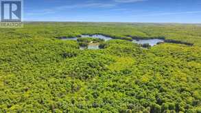 LOT 166 GLEN LAKE COURT | Dysart et al Ontario | Slide Image Four