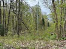 LOT 166 GLEN LAKE COURT | Dysart et al Ontario | Slide Image Eight