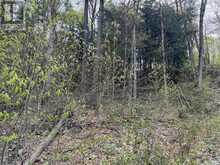 LOT 166 GLEN LAKE COURT | Dysart et al Ontario | Slide Image Nine