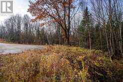 181 CLARKES LANE | Huntsville Ontario | Slide Image Fifteen