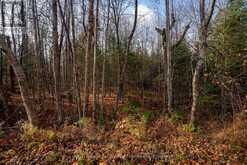 181 CLARKES LANE | Huntsville Ontario | Slide Image Seventeen