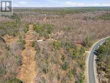 1670 MUSKOKA RD 38 | Bala Ontario | Slide Image Twelve