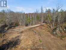 1670 MUSKOKA RD 38 | Bala Ontario | Slide Image Thirty-three