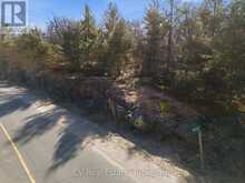 1670 MUSKOKA RD 38 | Bala Ontario | Slide Image Thirty-four