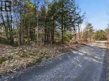 1670 MUSKOKA RD 38 | Bala Ontario | Slide Image Thirty-six