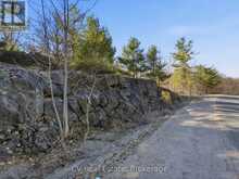 1670 MUSKOKA RD 38 | Bala Ontario | Slide Image Thirty-seven