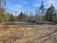 1670 MUSKOKA RD 38 | Bala Ontario | Slide Image Forty