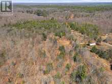 1670 MUSKOKA RD 38 | Bala Ontario | Slide Image Nine