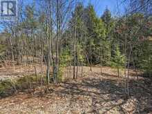 1671 MUSKOKA RD 38 | Bala Ontario | Slide Image Fifteen