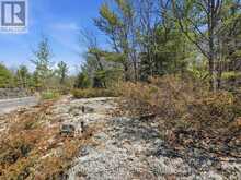 1671 MUSKOKA RD 38 | Bala Ontario | Slide Image Nineteen