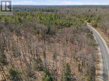 1671 MUSKOKA RD 38 | Bala Ontario | Slide Image Two