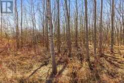PART 28 MAPLE DRIVE | Miller Lake Ontario | Slide Image Ten