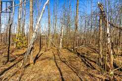 PART 28 MAPLE DRIVE | Miller Lake Ontario | Slide Image Thirteen