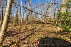 PART 28 MAPLE DRIVE | Miller Lake Ontario | Slide Image Fifteen