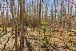 PART 28 MAPLE DRIVE | Miller Lake Ontario | Slide Image Sixteen