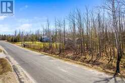 PART 28 MAPLE DRIVE | Miller Lake Ontario | Slide Image Six