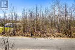 PART 28 MAPLE DRIVE | Miller Lake Ontario | Slide Image Nine