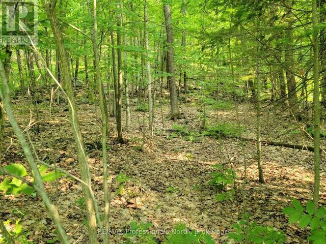 22 - 32 MOUNT VERNON TRAIL Huntsville Ontario, P1H 1E3 - Vacant Land For Sale