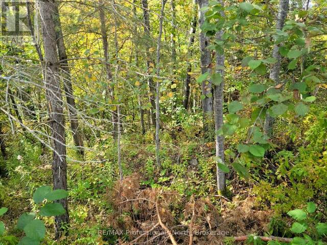 32 - 4 FOX RUN LANE Huntsville Ontario, P1H 1E3 - Vacant Land For Sale