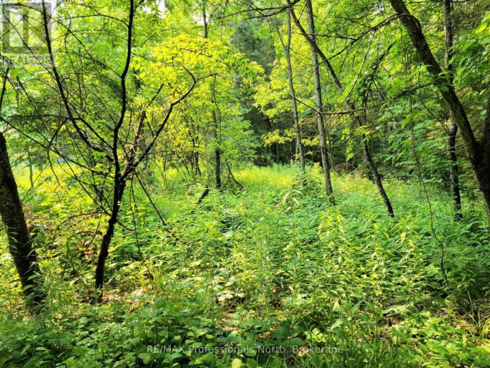 26 - 35 MOUNT VERNON TRAIL, Huntsville, Ontario P1H 1E3