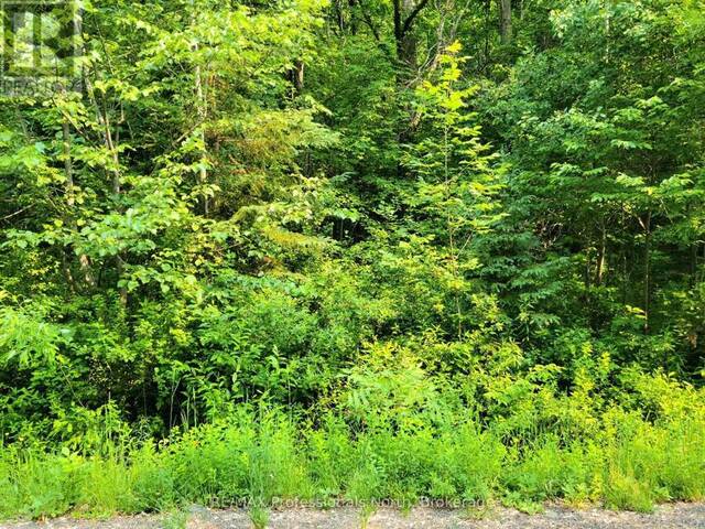 19 - 26 MOUNT VERNON TRAIL Huntsville Ontario, P1H 1E3 - Vacant Land For Sale