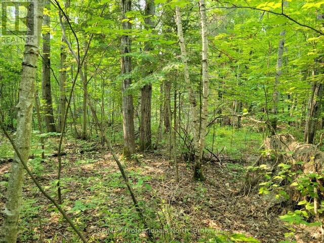 29 - 29 MOUNT VERNON TRAIL Huntsville Ontario, P1H 1E3 - Vacant Land For Sale